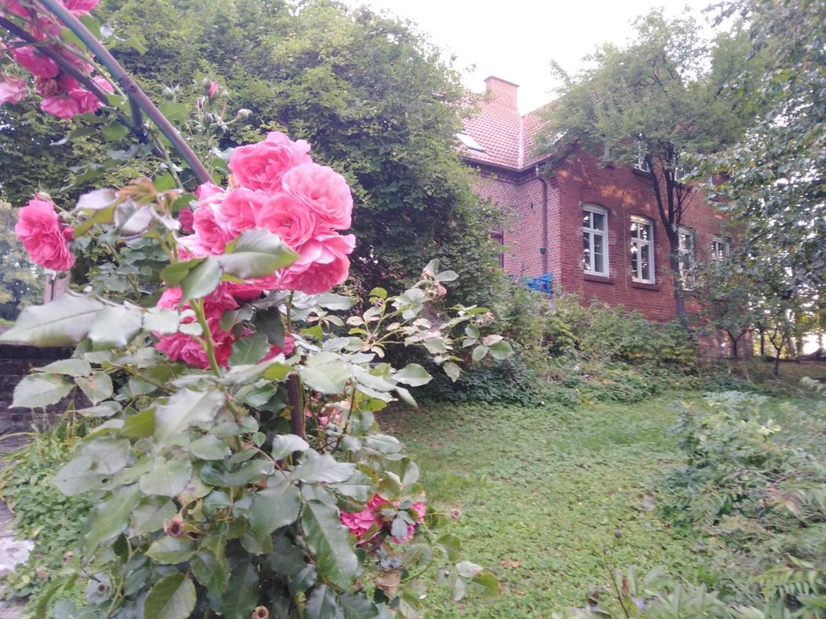 Alte Schule Am See 비스쿠피크 외부 사진