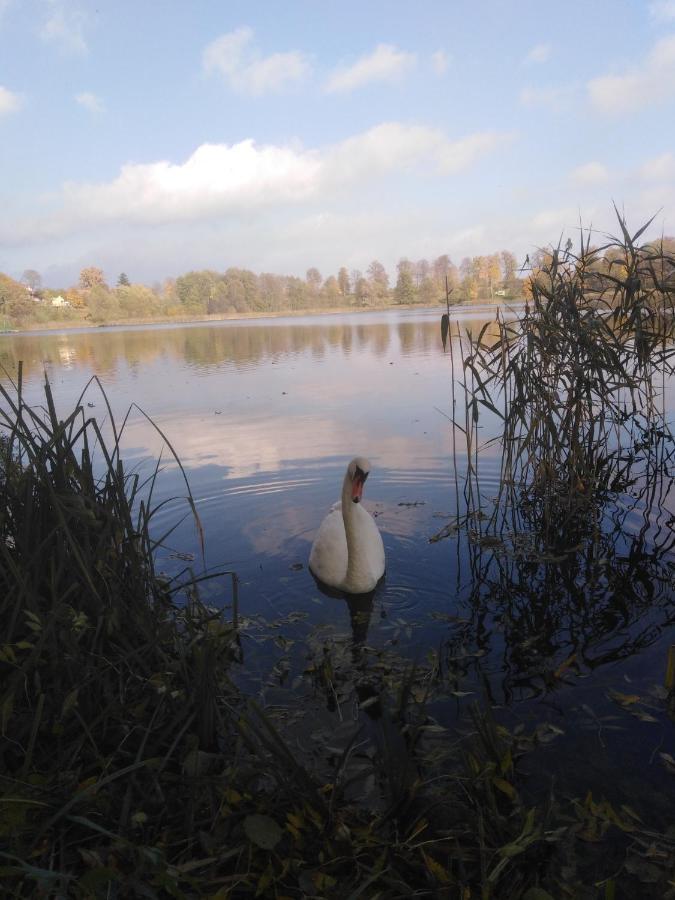 Alte Schule Am See 비스쿠피크 외부 사진